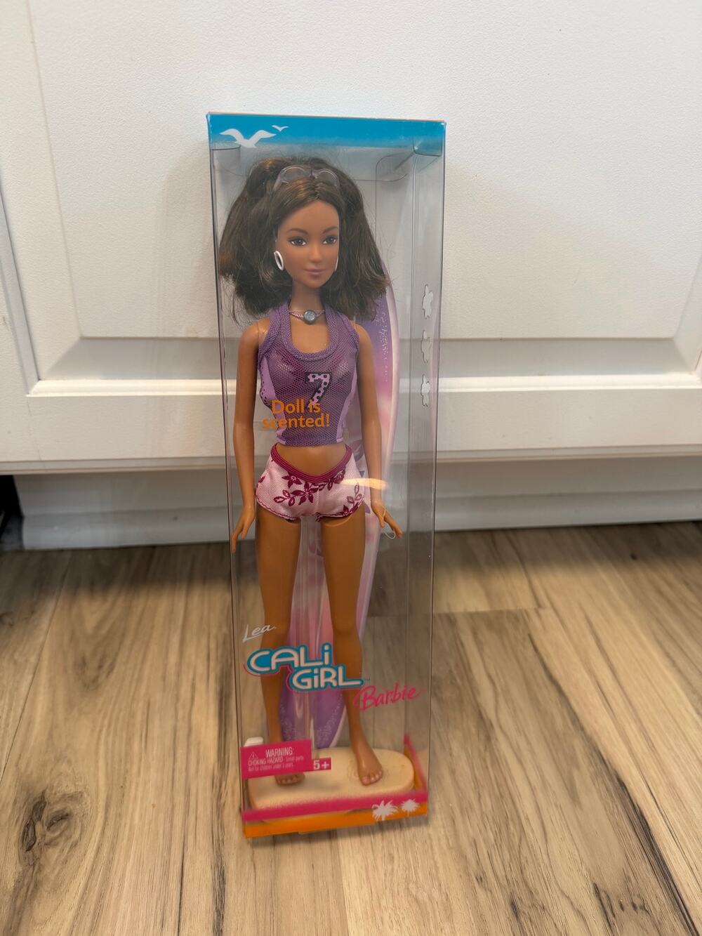 NEW Cali Girl 2004 Barbie Doll Lea Purple Surfer Swimsuit 12 Inch Doll